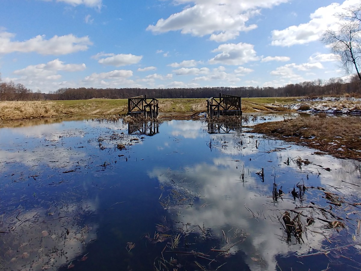 Moje ustronne miejsce w dolinie Pilicy [Nature and SPA experience next to the Pilica&nbsp;river]